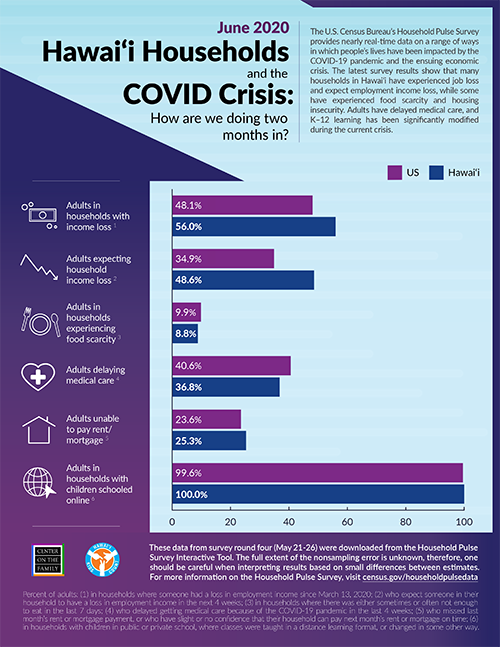 Hawaii Households and the COVID Crisis 2020